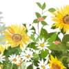 Thumbnail of related posts 151