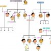 Thumbnail of related posts 080