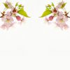 Thumbnail of related posts 020