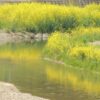 Thumbnail of related posts 024