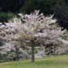 Thumbnail of related posts 129